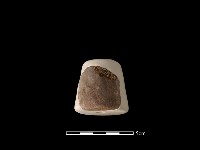 紡輪藏品圖，第3張