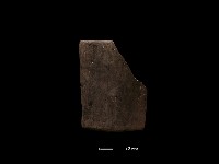 陶環藏品圖，第1張