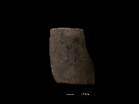 陶環藏品圖，第1張