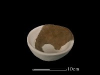 陶缽藏品圖，第6張