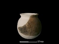 陶罐藏品圖，第4張