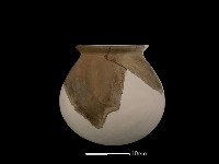 陶罐藏品圖，第5張