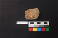 陶片藏品圖，第2張