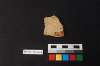 陶片藏品圖，第2張