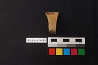 陶片藏品圖，第2張