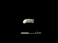 玉玦藏品圖，第2張