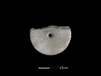 圓形玉板藏品圖，第1張