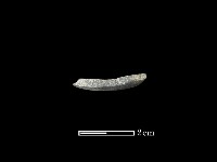 石環藏品圖，第2張