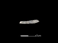 石環藏品圖，第1張