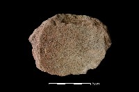 陶蓋鈕藏品圖，第2張