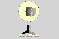 陶蓋鈕藏品圖，第3張