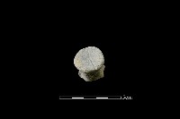 陶蓋鈕藏品圖，第1張