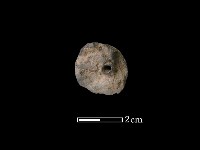 紡輪藏品圖，第1張