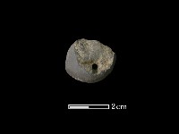 紡輪藏品圖，第2張