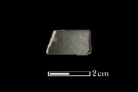 陶環藏品圖，第1張