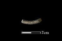 陶環藏品圖，第3張