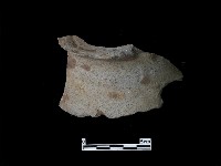 陶片藏品圖，第2張