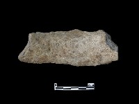 陶片藏品圖，第2張