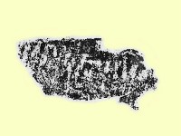 陶片藏品圖，第1張