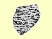 陶片藏品圖，第1張