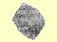 陶片藏品圖，第2張