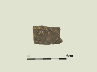 陶片藏品圖，第1張