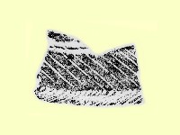陶片藏品圖，第1張