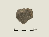 陶片藏品圖，第2張