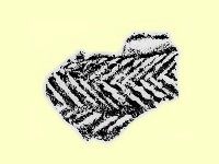 陶片藏品圖，第1張