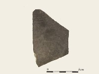 陶片藏品圖，第1張