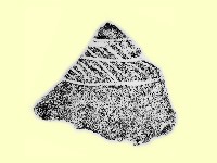 陶片藏品圖，第2張