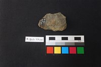 陶片藏品圖，第2張