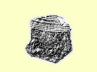 陶片藏品圖，第1張