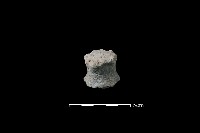 陶蓋鈕藏品圖，第1張