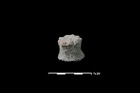 陶蓋鈕藏品圖，第2張