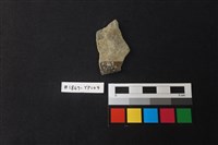 陶片藏品圖，第2張