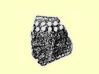 陶片藏品圖，第1張