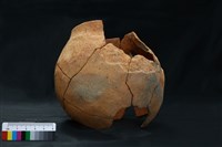 陶罐藏品圖，第6張