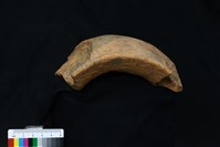 陶罐藏品圖，第3張