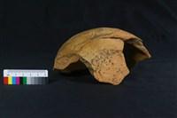 陶罐藏品圖，第4張