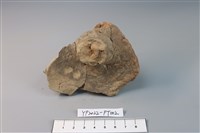 碗/淺盤型陶蓋藏品圖，第2張
