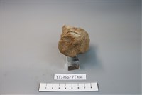 碗/淺盤型陶蓋藏品圖，第3張
