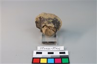 碗/淺盤型陶蓋藏品圖，第3張