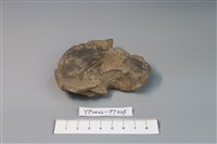碗/淺盤型陶蓋藏品圖，第1張