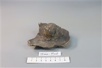 碗/淺盤型陶蓋藏品圖，第1張