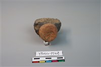 碗/淺盤型陶蓋藏品圖，第2張