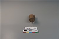 陶鈕藏品圖，第2張