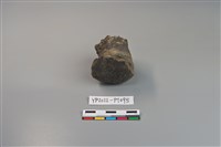 碗/淺盤型陶蓋藏品圖，第3張