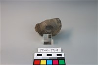 碗/淺盤型陶蓋藏品圖，第2張