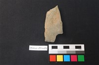 陶片藏品圖，第2張